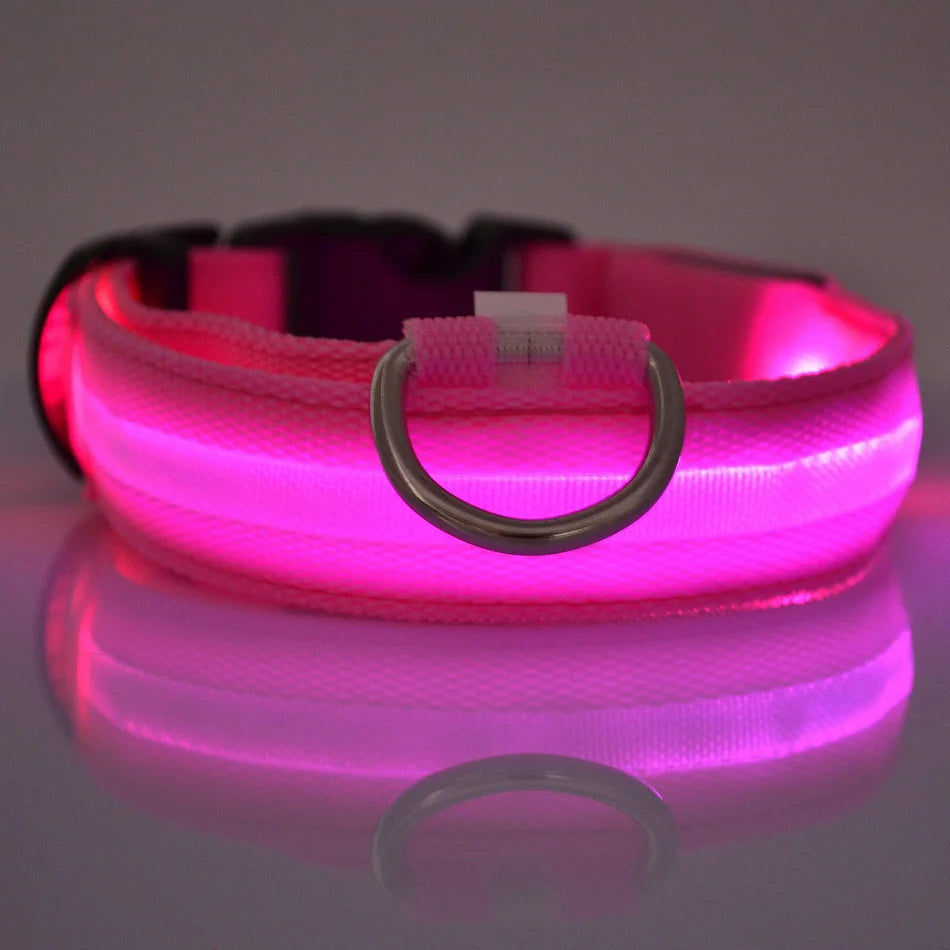 LED Light up collar for your pups nightly walks.