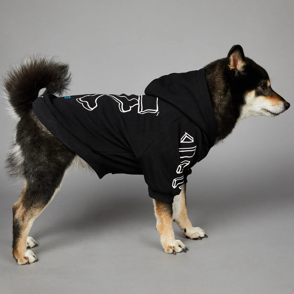 Designer Hoodies for your pup.