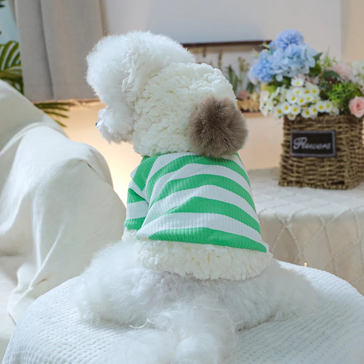 A cute striped hoodie for your small pup.