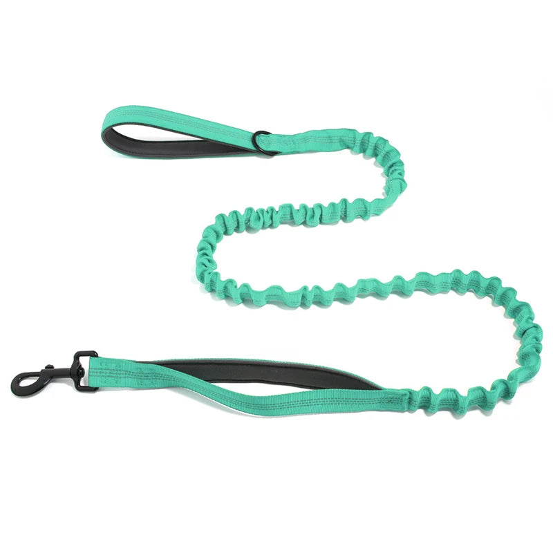 High Elasticity Double Handle Leash