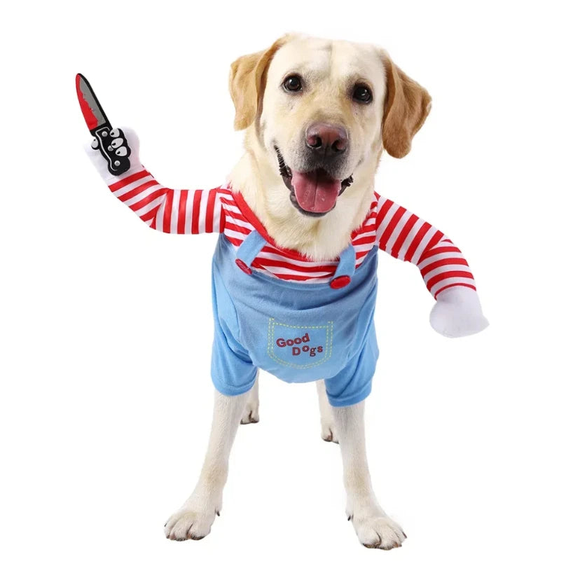 Halloween Costume your pup.