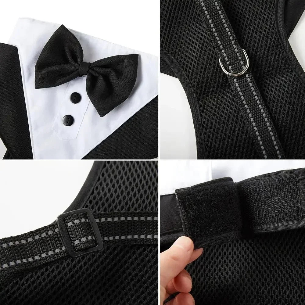 Tuxedo with Bow Tie for your pup's special day.