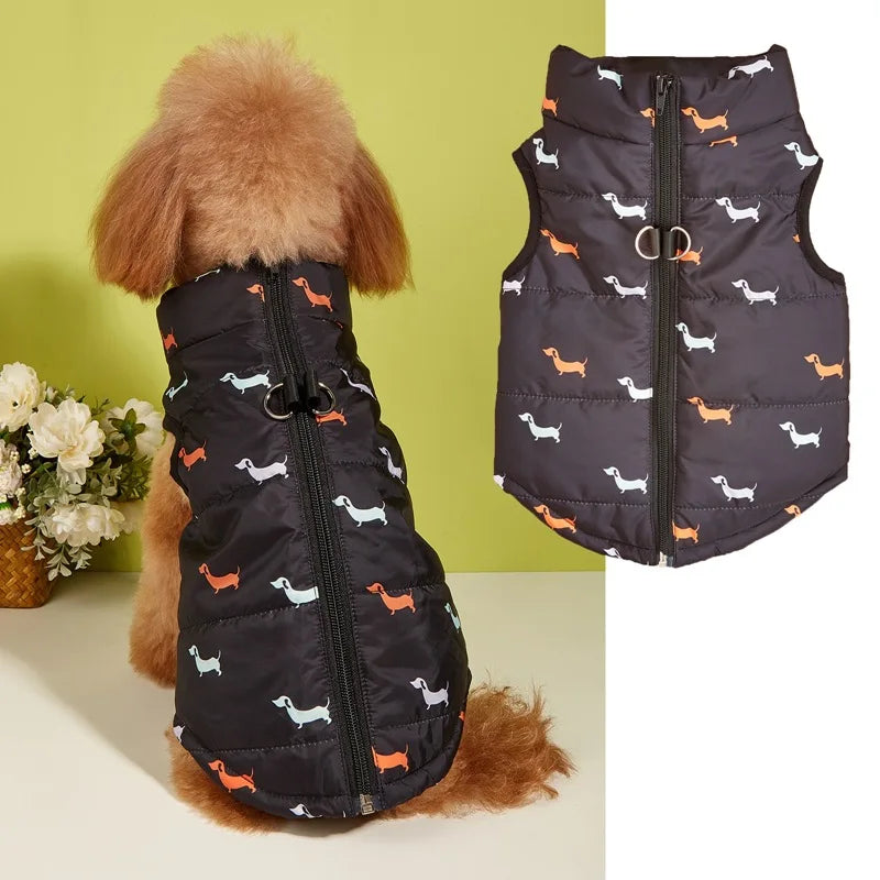 Winter Vest for your small pup.