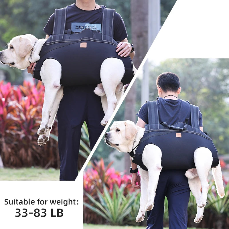 Multi Functional Dog Carrier