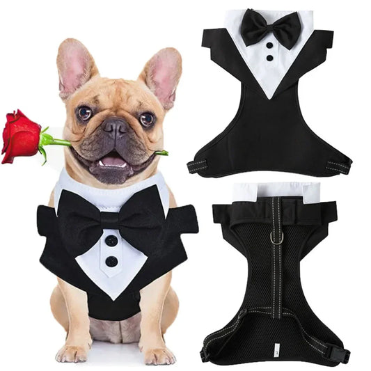 Tuxedo with Bow Tie for your pup's special day.