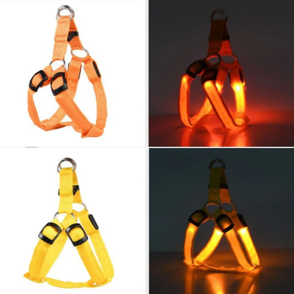 LED Light Up Harness for your pup's night time walks.