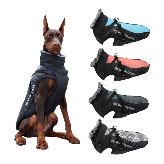 Waterproof Winter Coat With Harness or your pup.