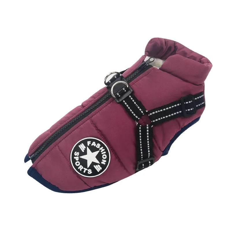 Waterproof Jacket  With Harness
