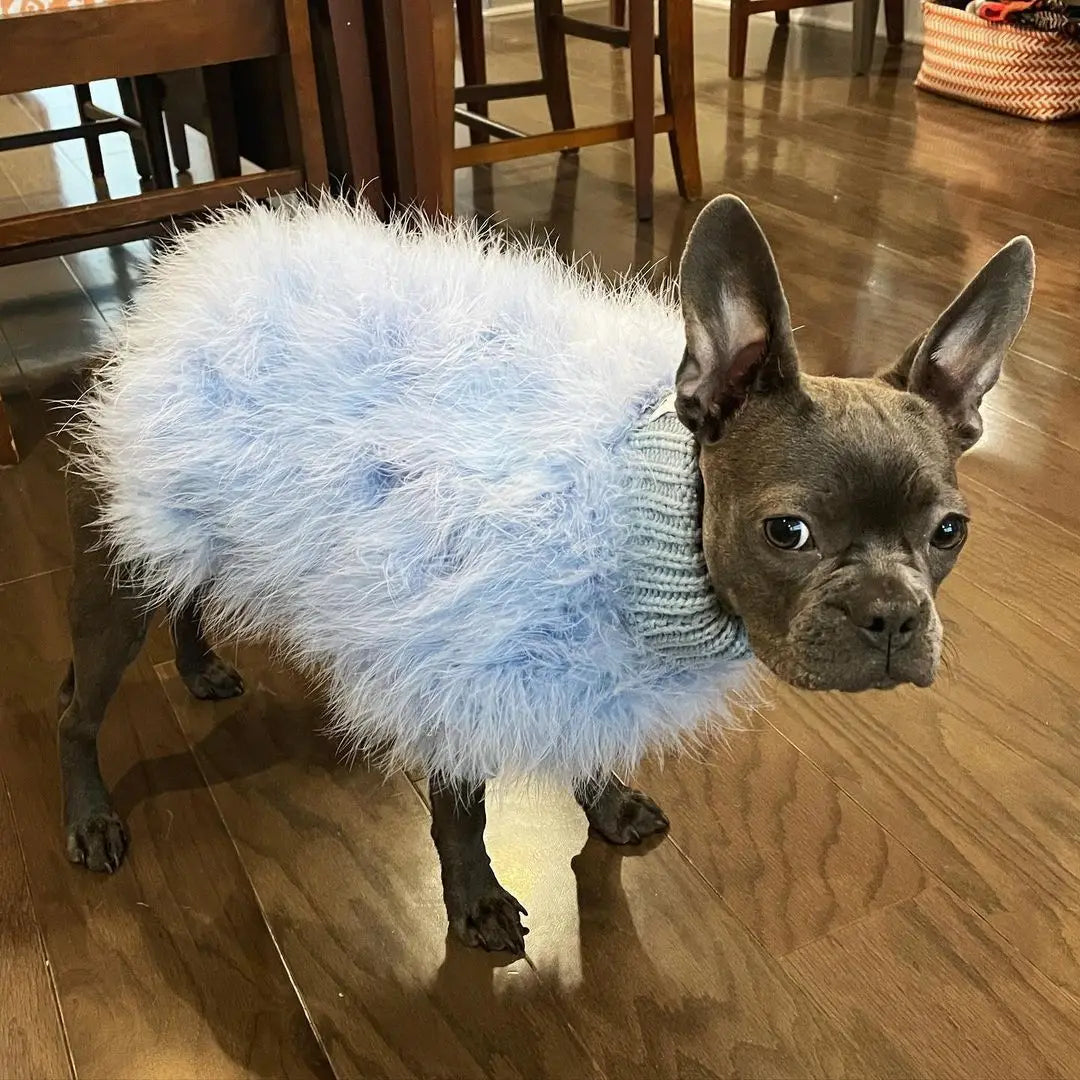 Fancy Faux Fur Sweater for your fancy pup!