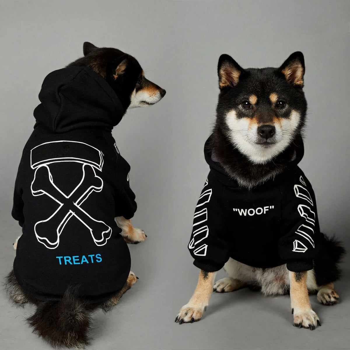 Designer Hoodies for your pup.