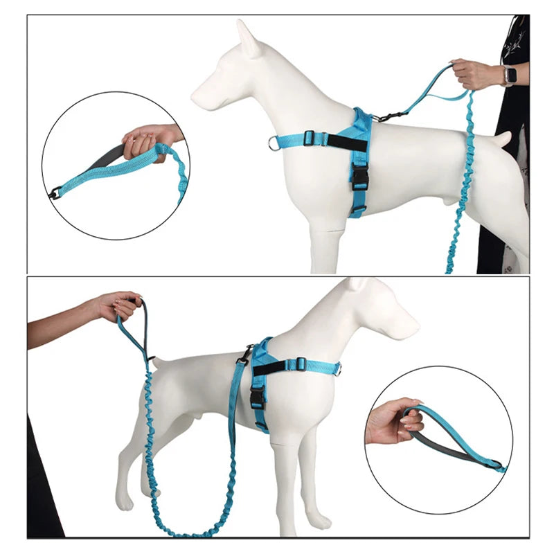 High Elasticity Double Handle Leash