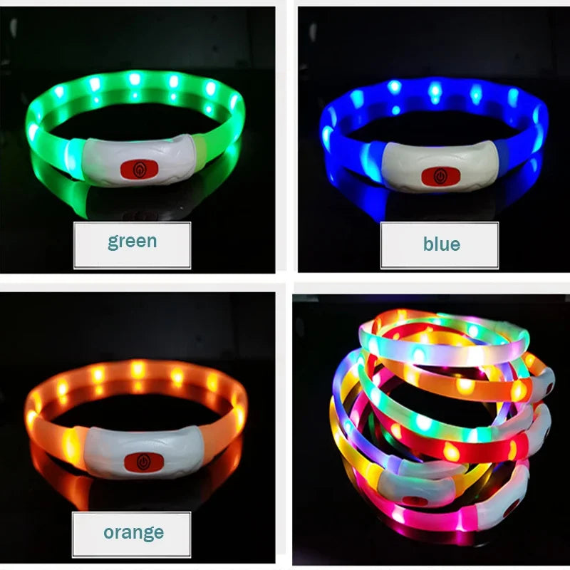 LED  USB  Rechargeable Collar for your pup.