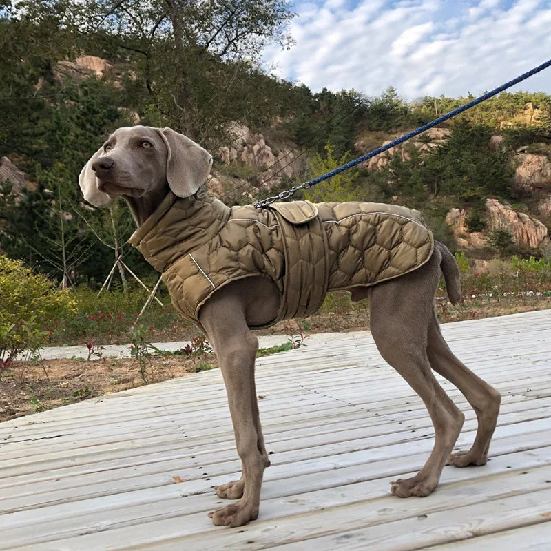 Turtleneck Reflective Jacket for your pup.