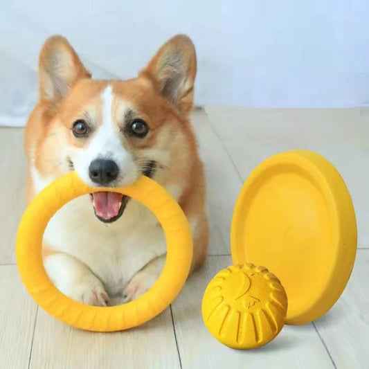 Flying Disk Training Ring