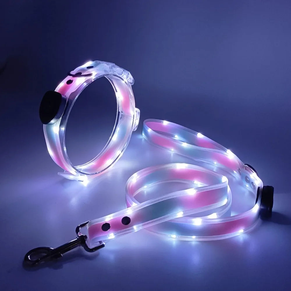 Rechargeable, Adjustable & Waterproof LED Leash for your pup.