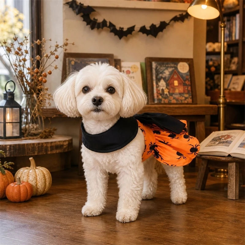 Halloween Spider Print Dress for your pup.
