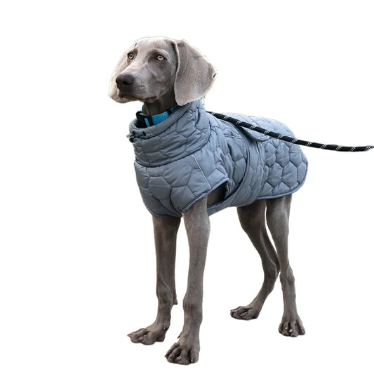 Turtleneck Reflective Jacket for your pup.