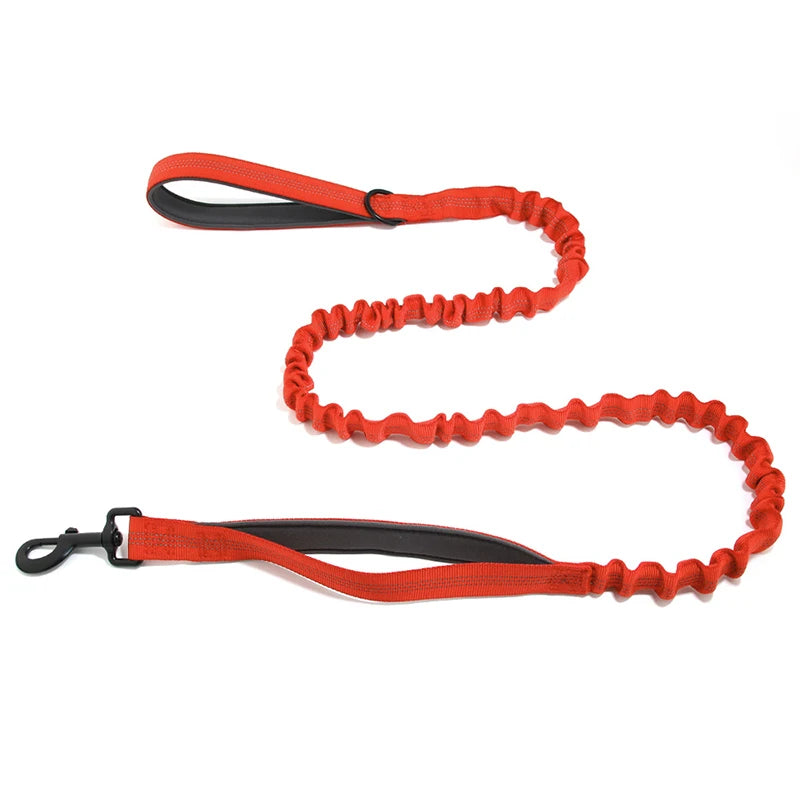High Elasticity Double Handle Leash
