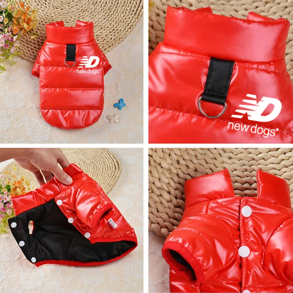 Waterproof Jacket for your pup.