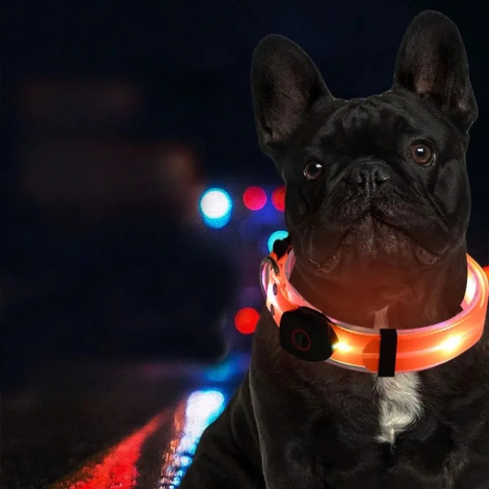 Rechargeable, Adjustable & Waterproof LED Leash for your pup.