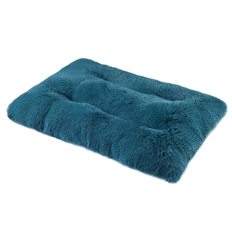 Soft and Cozy Bed