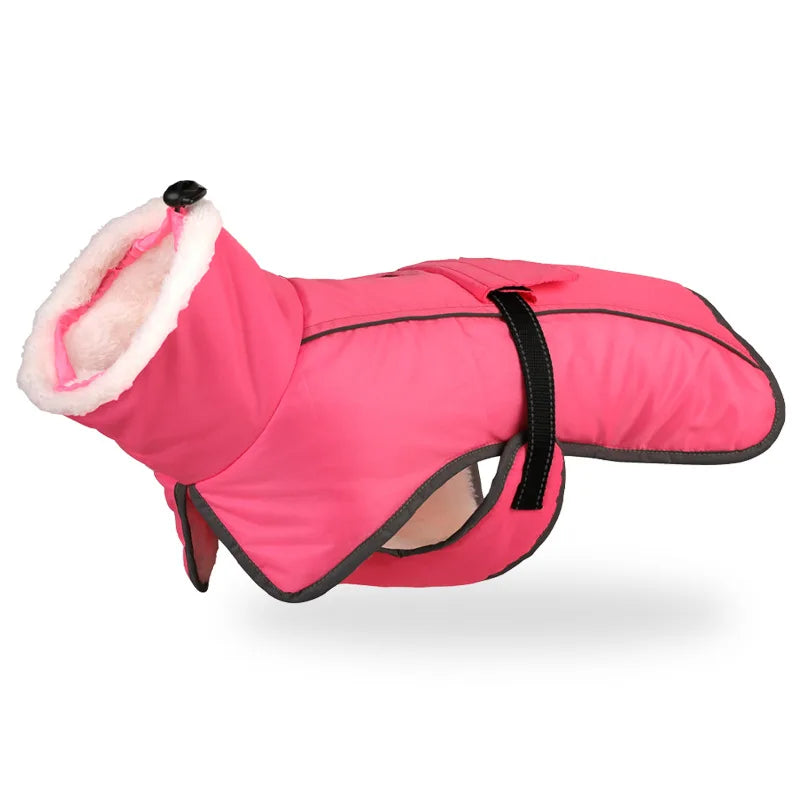 Reflective Winter Jacket for your pup.