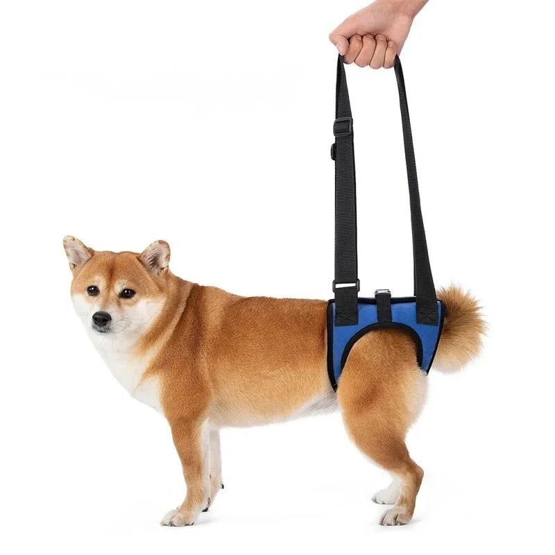 Adjustable Support Harness for your senior or disabled pup.