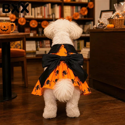 Halloween Spider Print Dress for your pup.