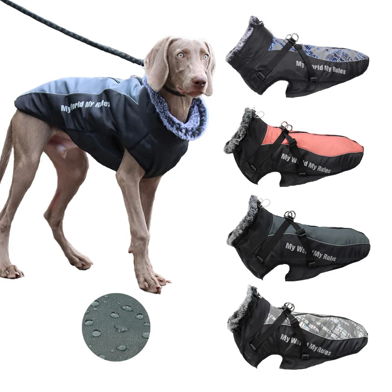 Waterproof Winter Coat With Harness or your pup.