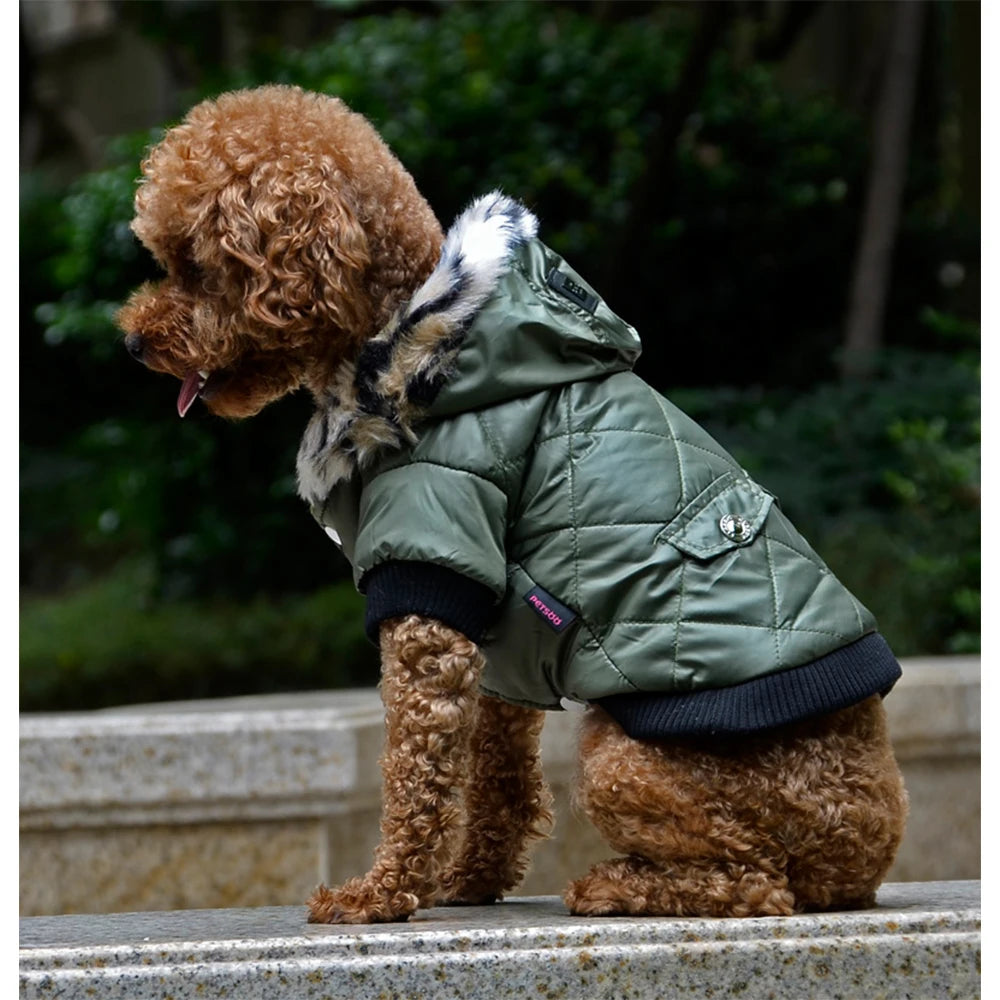 Waterproof Winter Jacket with Print Collar for your pup.