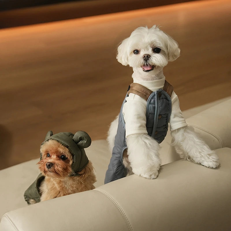 Jumpsuit for your pup.