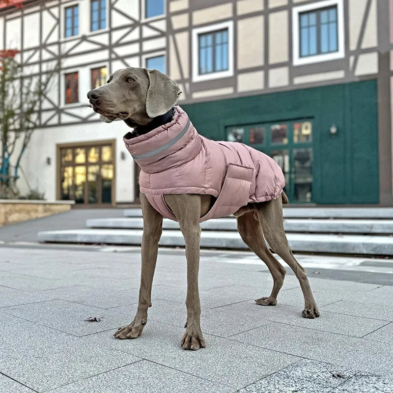 Reflective Winter Coat for your pup.