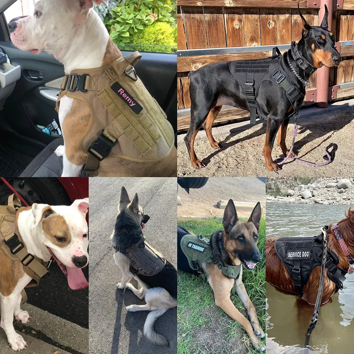 Tactical Dog Harness Collar Leash