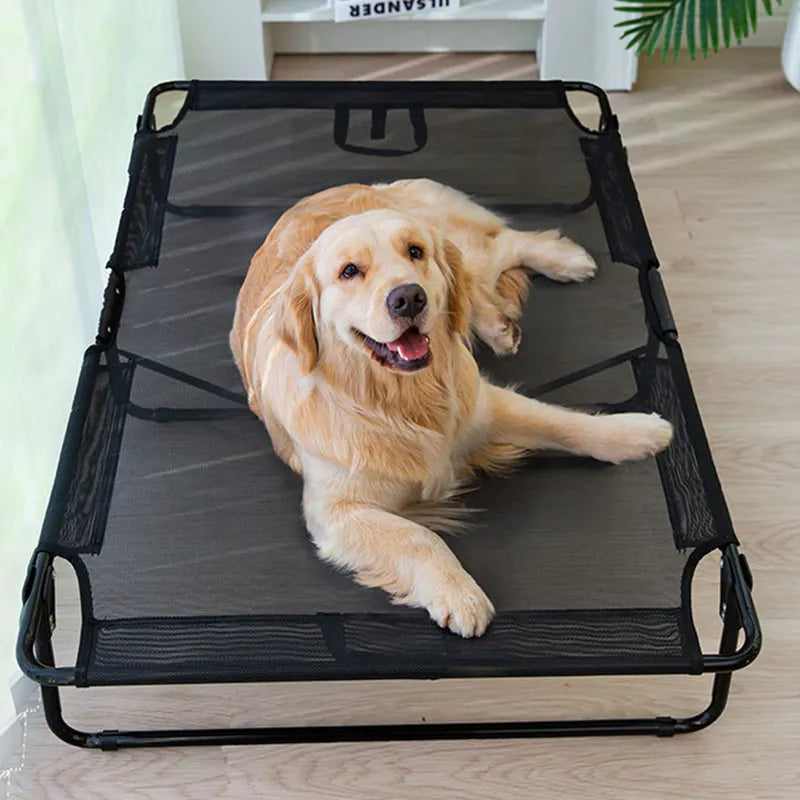 Foldable, Elevated Bed