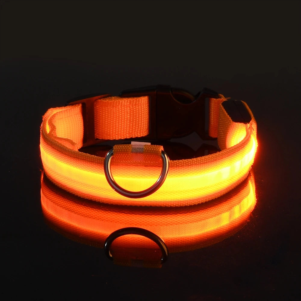 LED Light up collar for your pups nightly walks.