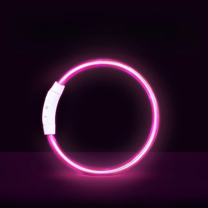 Waterproof, Rechargeable LED Collar with Detachable Light
