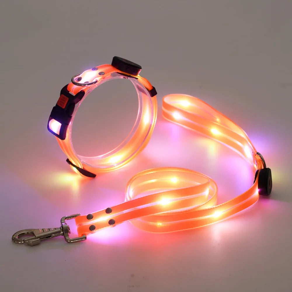 Rechargeable, Adjustable & Waterproof LED Leash for your pup.