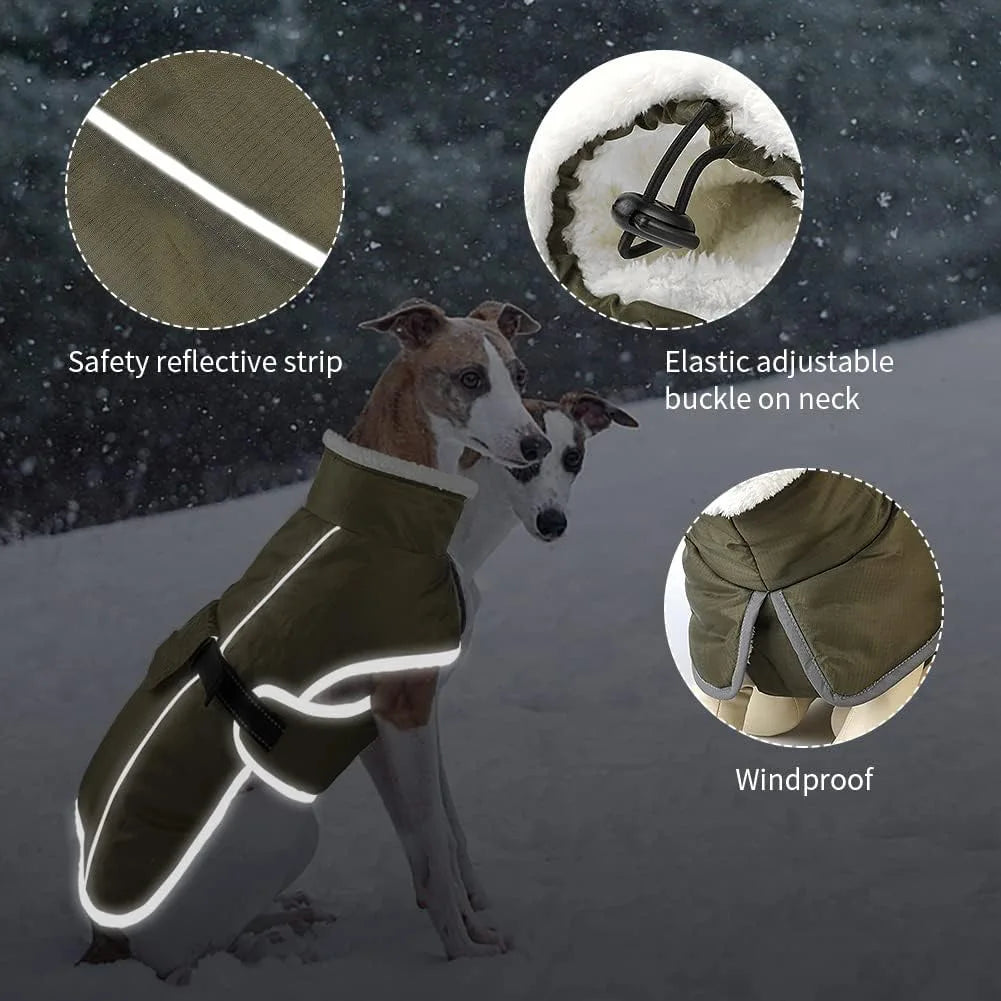 Reflective Winter Jacket for your pup.