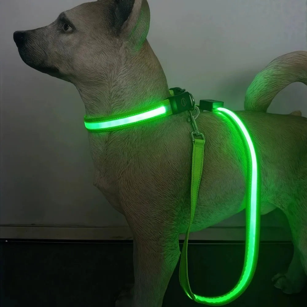 USB Rechargeable LED Light Up Leash for your pups safety.