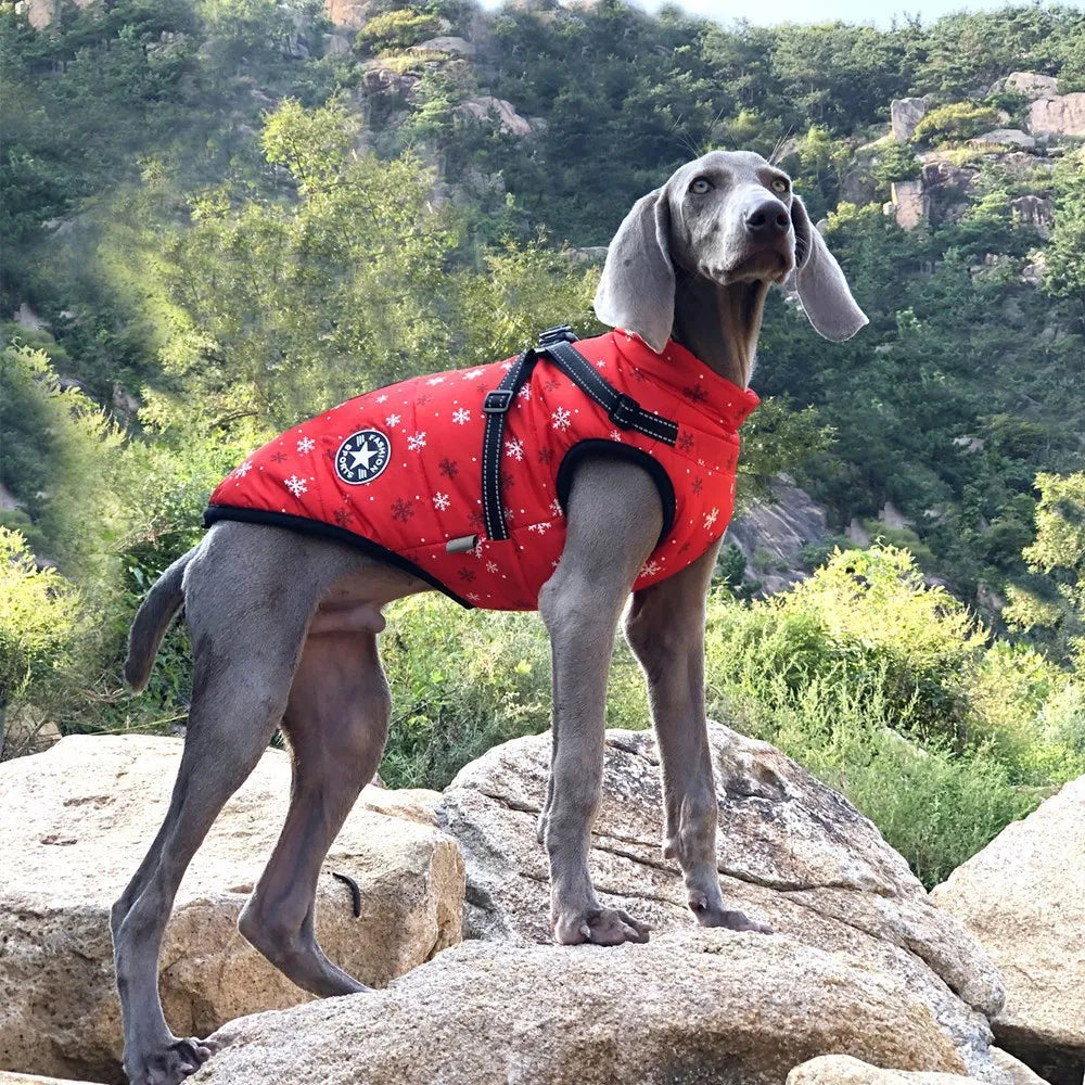 Reflective & Waterproof Winter Jacket for your pup.