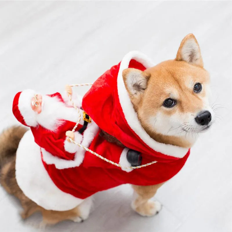 Christmas Santa Claus Riding Costume for your pup or cat.