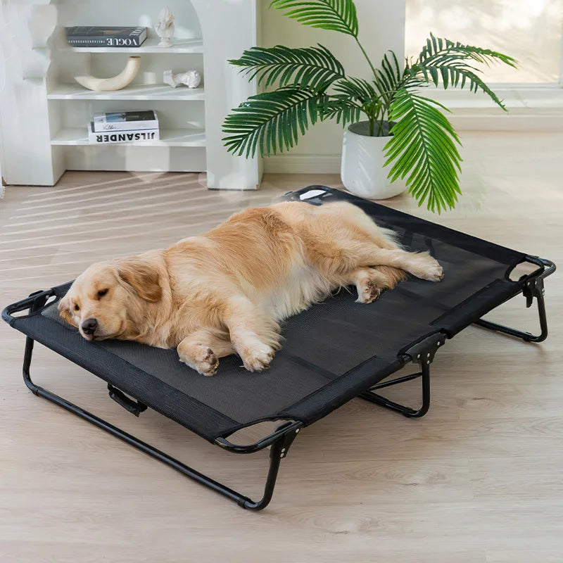 Foldable, Elevated Bed
