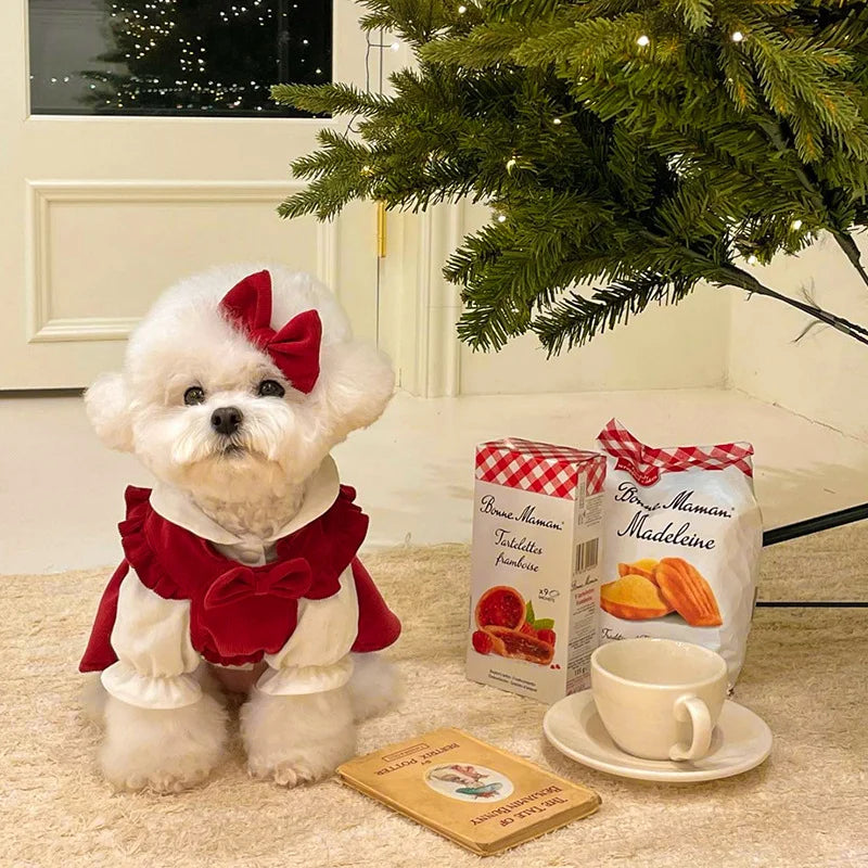 Christmas or Winter Dress for your pup.