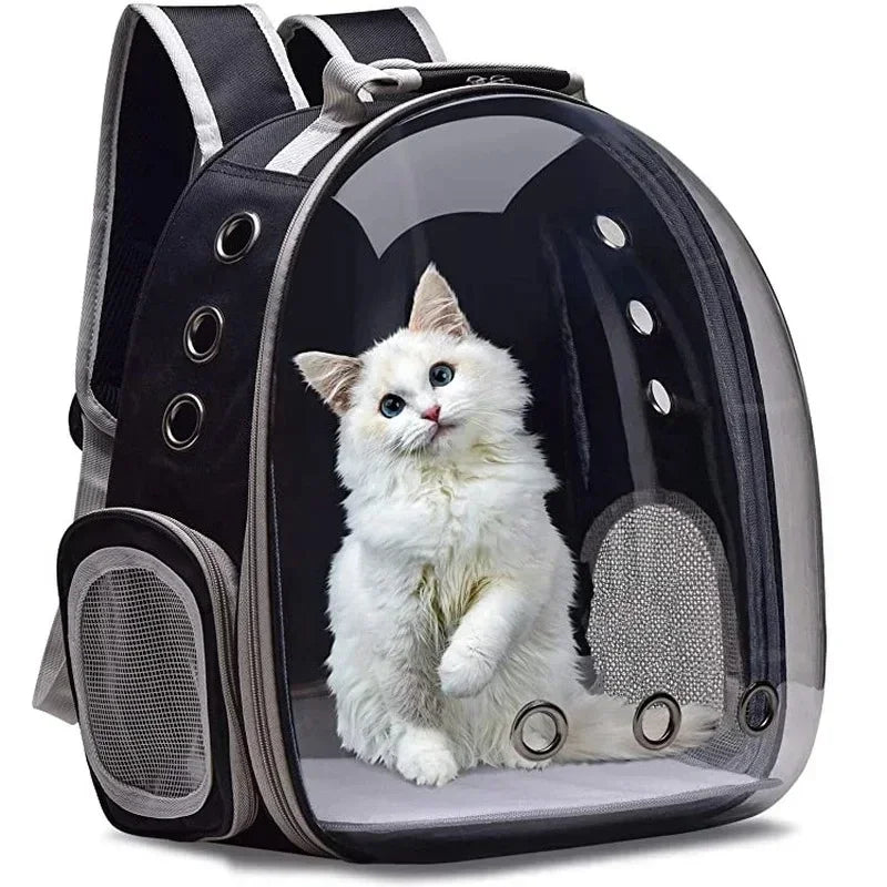 Breathable Transparent Capsule Bubble Backpack