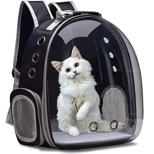 Breathable Transparent Capsule Bubble Backpack