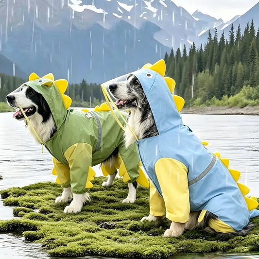 Waterproof Dinosaur Raincoat for your pup.