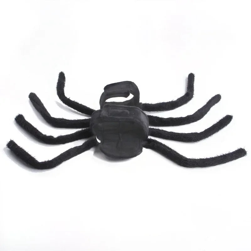 Halloween Spider for your pup.