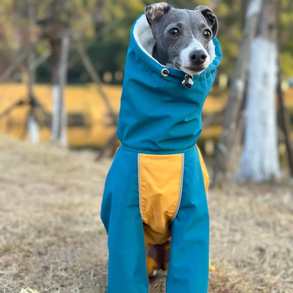 Waterproof Jacket for your greyhound or whippitt.