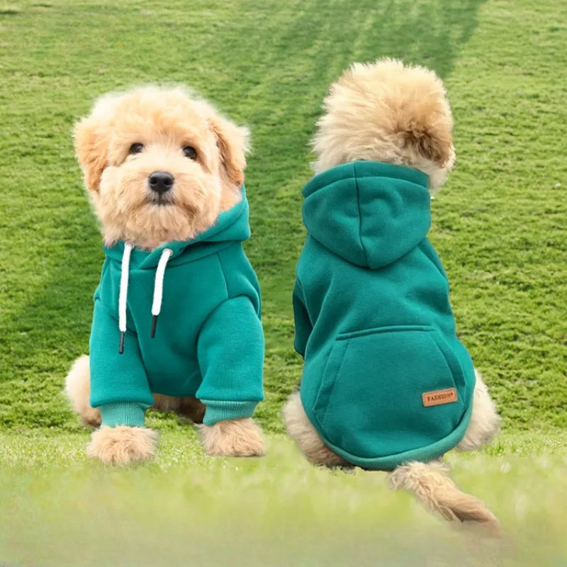 Hoodie Sweater for your pup.