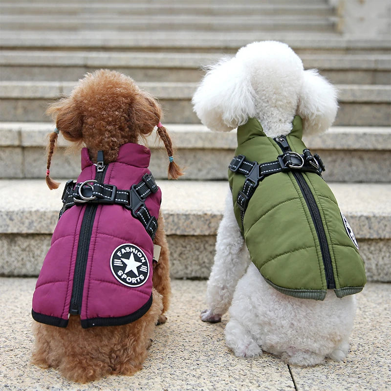 Waterproof Jacket  With Harness